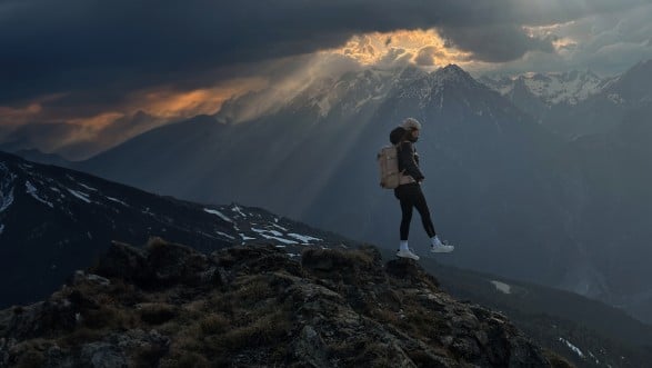 The Wild Ones banner